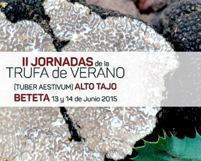 jornadas-trufa-alto-tajo-portada2