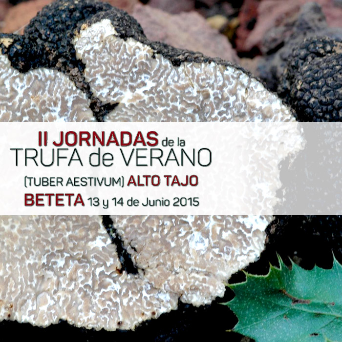 jornadas-trufa-de-verano-en-beteta-con-casa-chon-en-el-alto-tajo