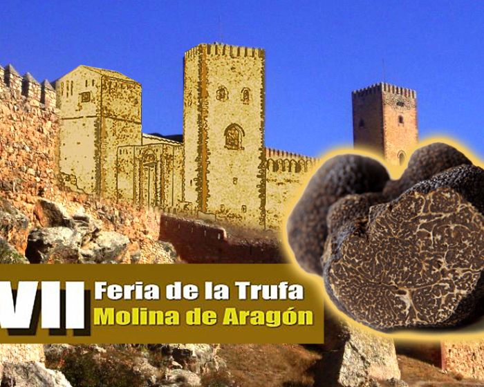 7feria-trufa-molina-aragon