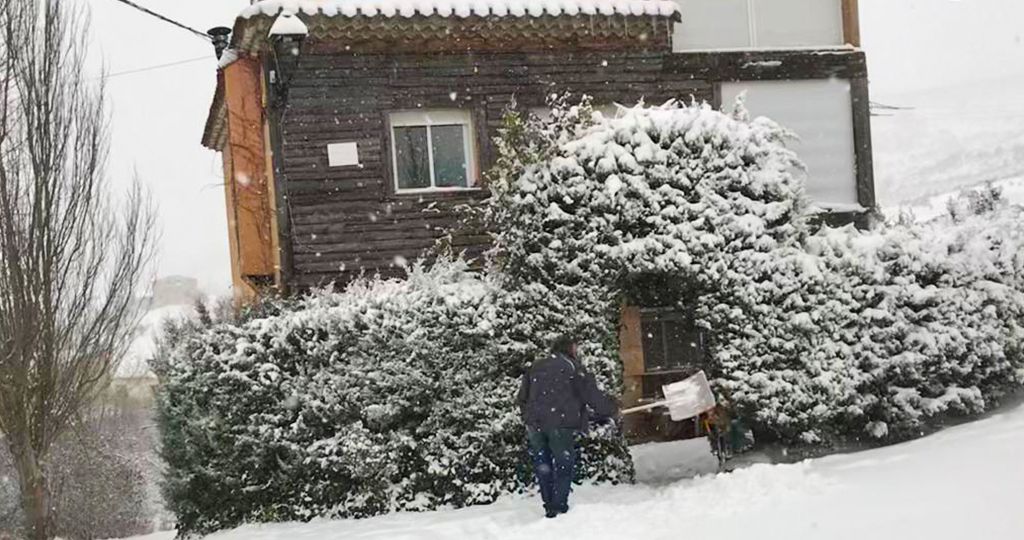 Nieve en el Alto Tajo. Domingo retirando la nieve de la Magnolia