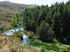 cascada del molino arriba