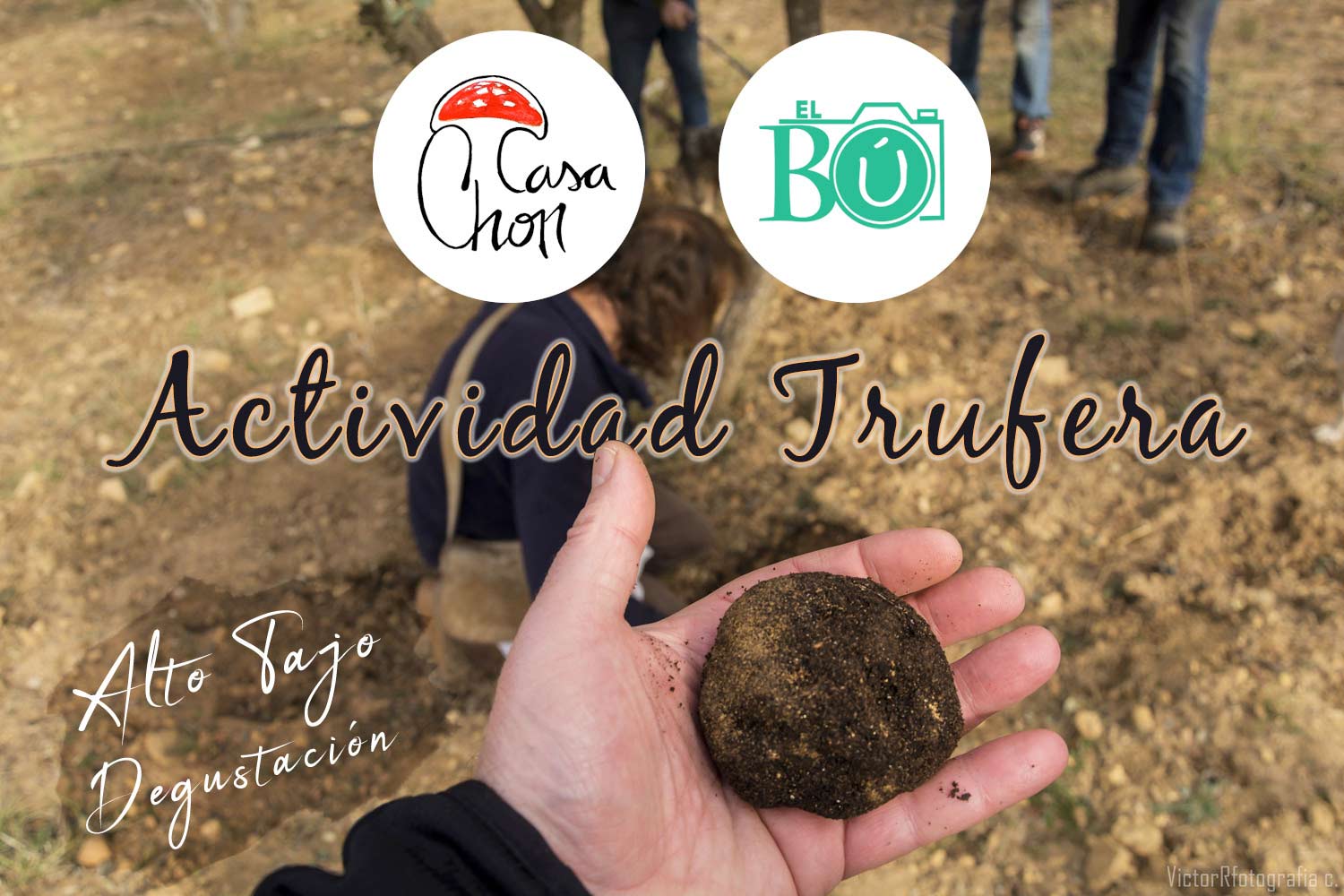 trufas-manjar-de-dioses