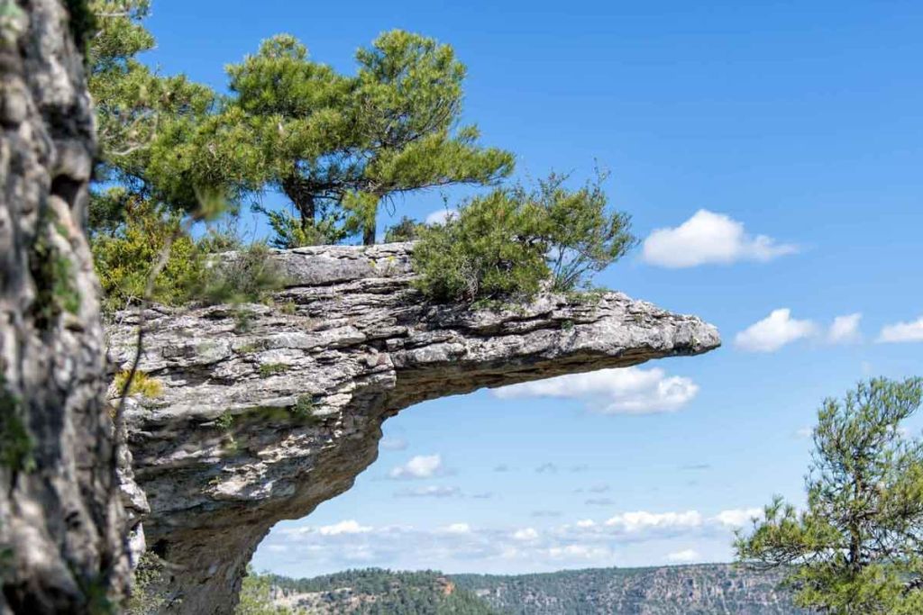 Parque Natural De ALto Tajo Nominado