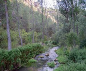 Alto Tajo Ecoturismo