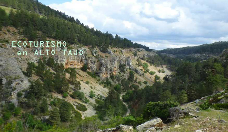 ecoturismo-en-alto-tajo