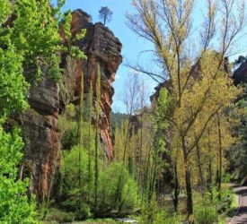 Ecoturismo Alto Tajo